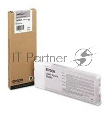 Картридж Epson C13T606700 серый (220 мл.) для Stylus Pro 4880