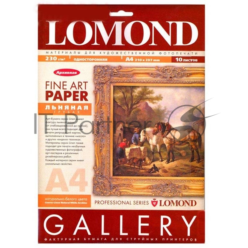Холст Lomond Pigm Canvas P А4 10л 