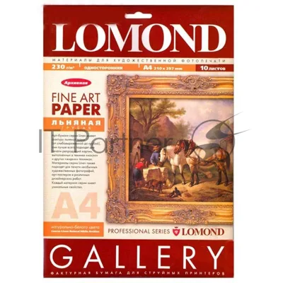 Холст Lomond Pigm Canvas P А4 10л 