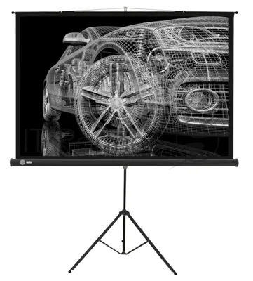 Экран Cactus 124.5x221 см Triscreen CS-PST-124x221 16:9 напольный рулонный черный
