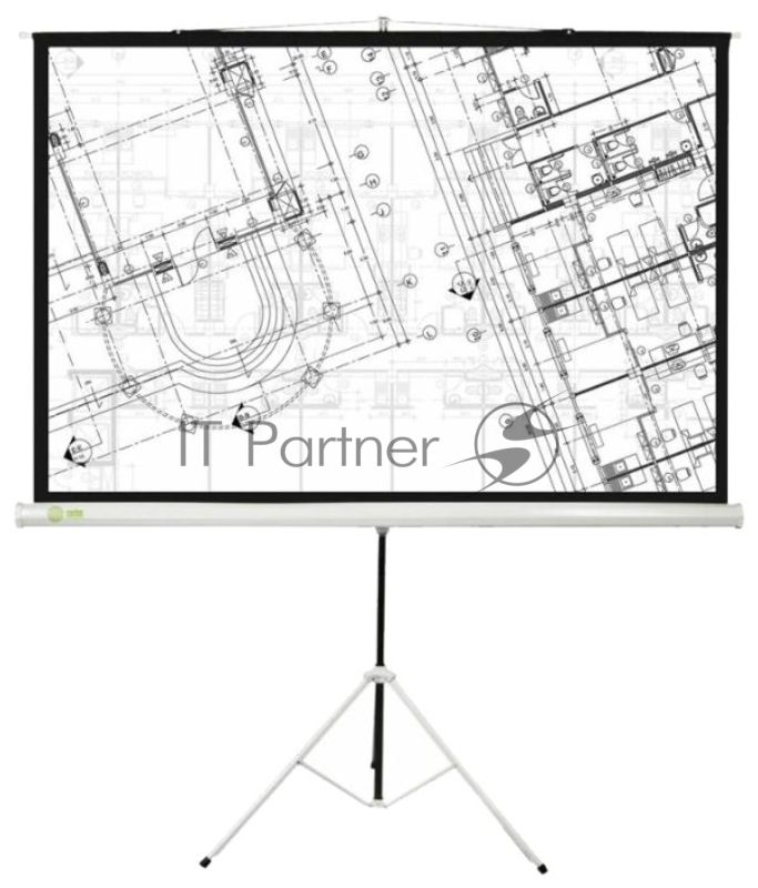 Экран Cactus 127x127см Triscreen CS-PST-127X127 1:1 напольный рулонный белый