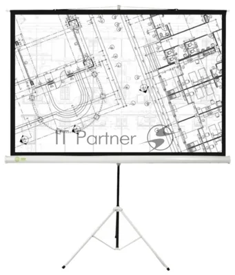 Экран Cactus 127x127см Triscreen CS-PST-127X127 1:1 напольный рулонный белый