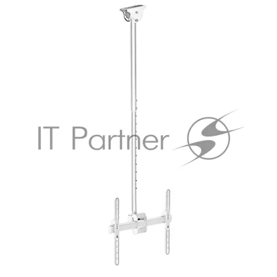 Кронштейн для телевизора Arm Media LCD-1700 белый, 26"-65" макс. 55 кг, потолочный, наклон