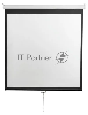 Экран 240x240см Digis Optimal-D DSOD-1107 1:1 настенно-потолочный рулонный