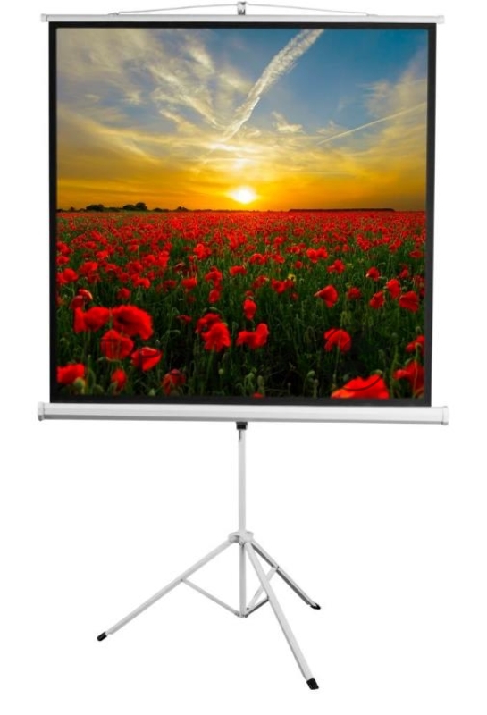 Экран 172x172см Digis Kontur-D DSKD-1104 1:1 напольный рулонный