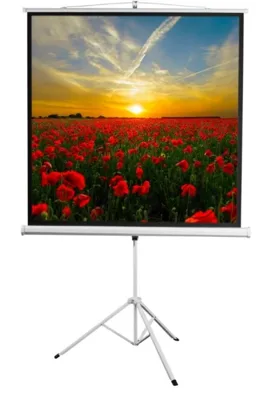 Экран 172x172см Digis Kontur-D DSKD-1104 1:1 напольный рулонный