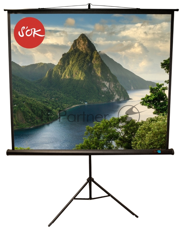 Экран 180x180см TriScreen 1:1 напольный рулонный черный 100'