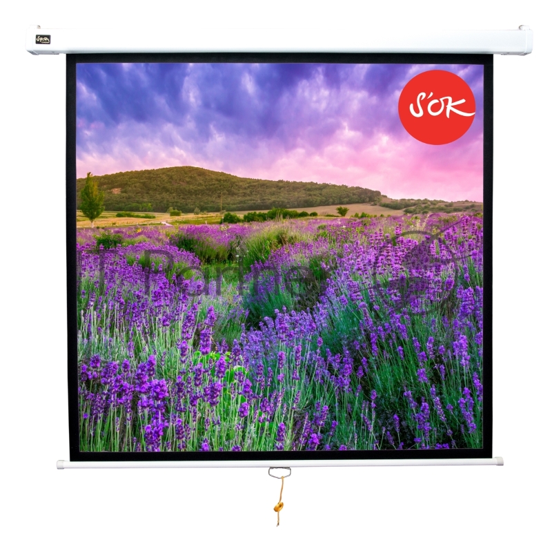 Экран 180x180см Wallscreen 1:1 настенно-потолочный рулонный белый100'