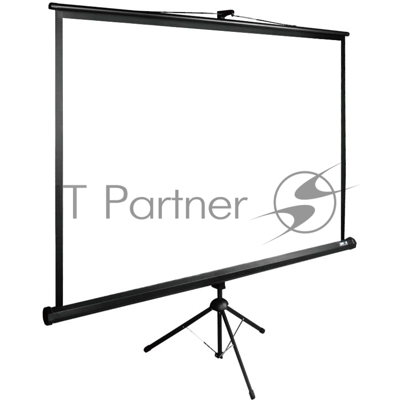 Экран Cactus 160x160 см TriExpert CS-PSTE-160x160-BK 1:1 напольный рулонный