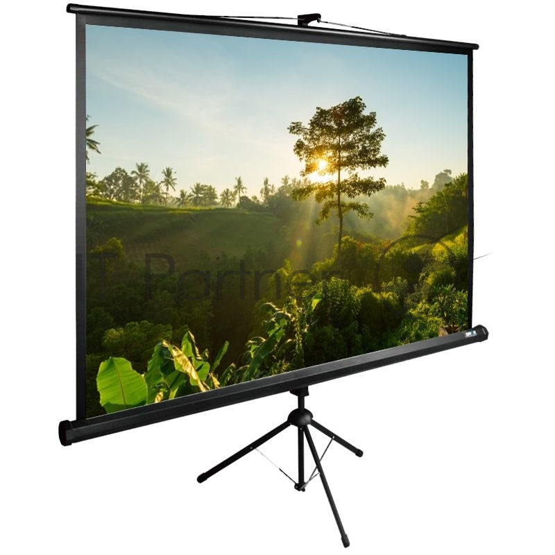 Экран Cactus 200x200 см TriExpert CS-PSTE-200х200-BK 1:1 напольный рулонный