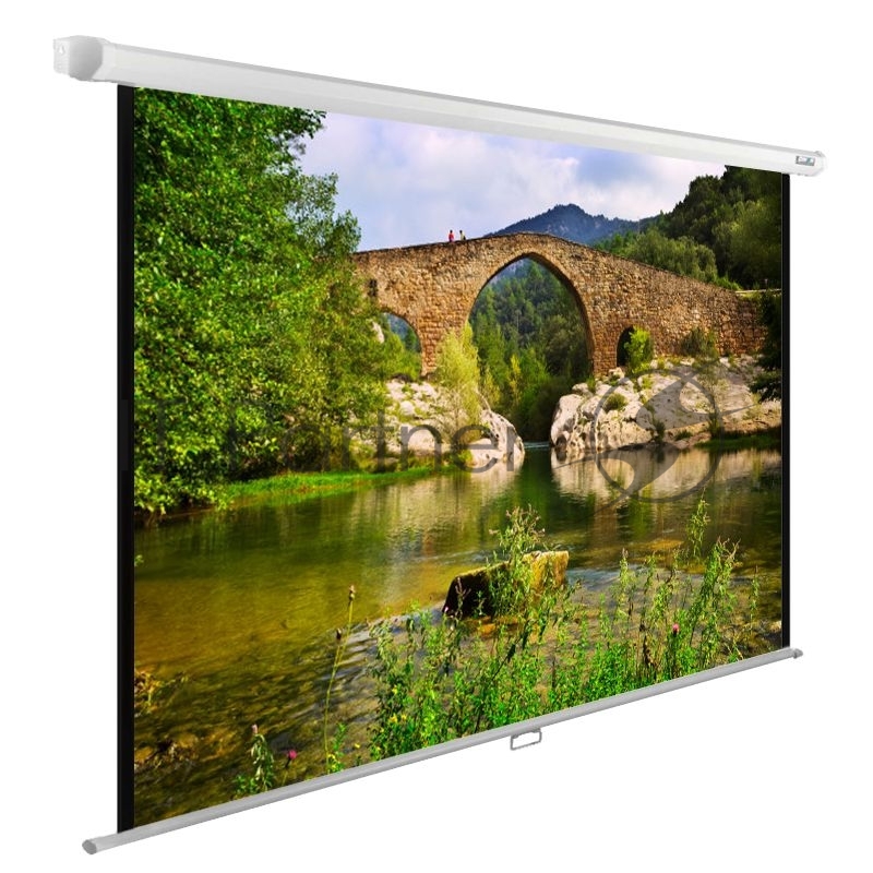 Экран Cactus 220x165 см WallExpert CS-PSWE-220x165-WT 1:1 настенно-потолочный рулонный белый