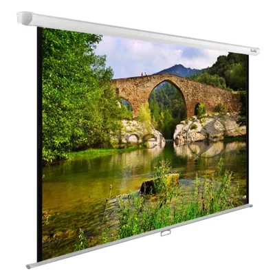 Экран Cactus 220x165 см WallExpert CS-PSWE-220x165-WT 1:1 настенно-потолочный рулонный белый