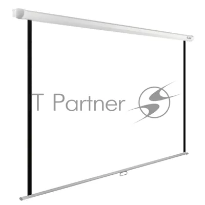 Экран Cactus 240x240 см WallExpert CS-PSWE-240x240-WT 1:1 настенно-потолочный рулонный
