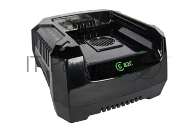 Зарядное устройство Greenworks 291470782В