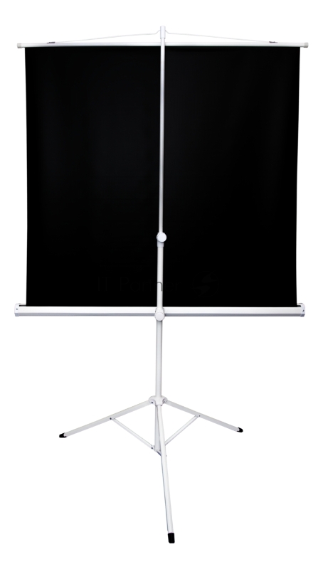 Экран 221x124.5см TriScreen 16:9 напольный рулонный белый100' Matt White (MW)