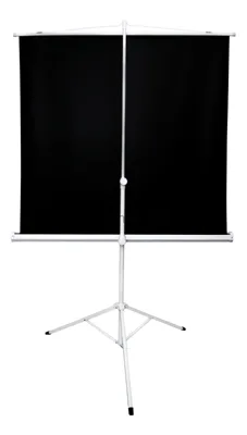 Экран 221x124.5см TriScreen 16:9 напольный рулонный белый100' Matt White (MW)
