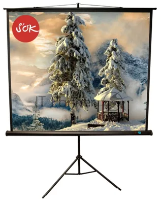 Экран 150x150 см TriScreen 1:1 напольный рулонный белый84' Matt White (MW), черный корпус
