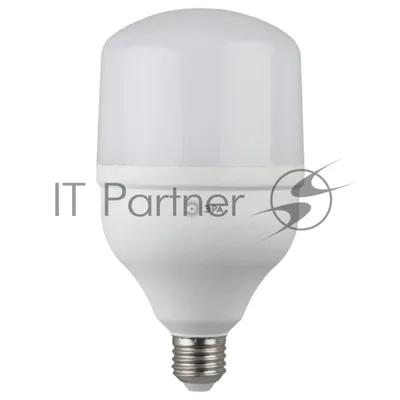 Лампа светодиодная ЭРА Б0027003 STD LED POWER T100-30W-4000-E27