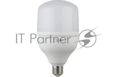 Лампа светодиодная ЭРА Б0027002 STD LED POWER T100-30W-2700-E27