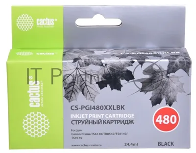 Картридж струйный Cactus CS-PGI480XXLBK черный (24.4мл) для Canon Pixma TR7540/TR8540/TS6140/TS8140