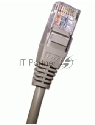 Патч-корд 2-х парный TWT UTP cat.5e, с заливными колпачками, 1.0 м, серый