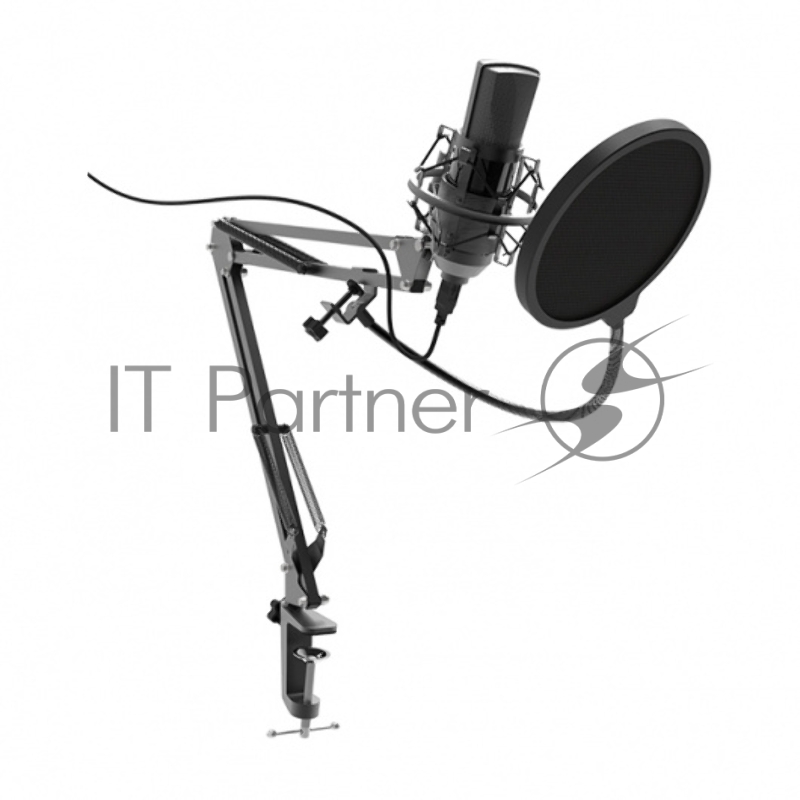 Микрофон Ritmix RDM-180 черный