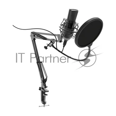 Микрофон Ritmix RDM-180 черный