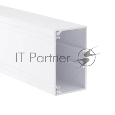 Короб Dkc 01786 TA-GN 100 x 60 с крышкой с направляющими для установки разделителей (2 метра)