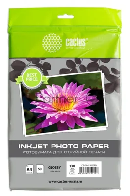 Фотобумага Cactus CS-GA413050ED A4/130г/м2/50л./белый глянцевое для струйной печати