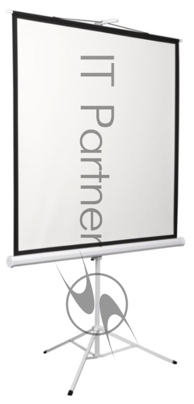 Экран на штативе Digis Kontur-D формат 1:1 135" (248x250) MW