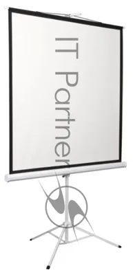 Экран на штативе Digis Kontur-D формат 1:1 135" (248x250) MW