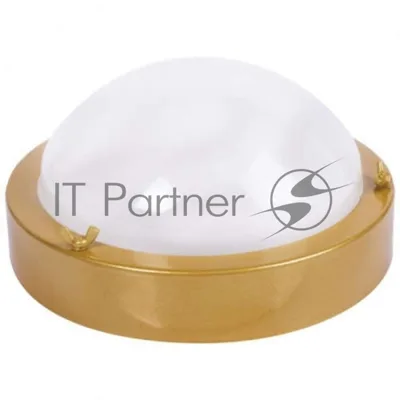 Светильник ЭЛЕТЕХ НББ-03-60-003 (Терма 3) IP65 золото