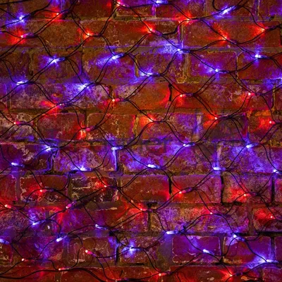 Гирлянда Neon-night Сеть "НЕТ ЛАЙТ" 2х0.7м 176 LED 11Вт 220В IP44 красн./син.; черный провод